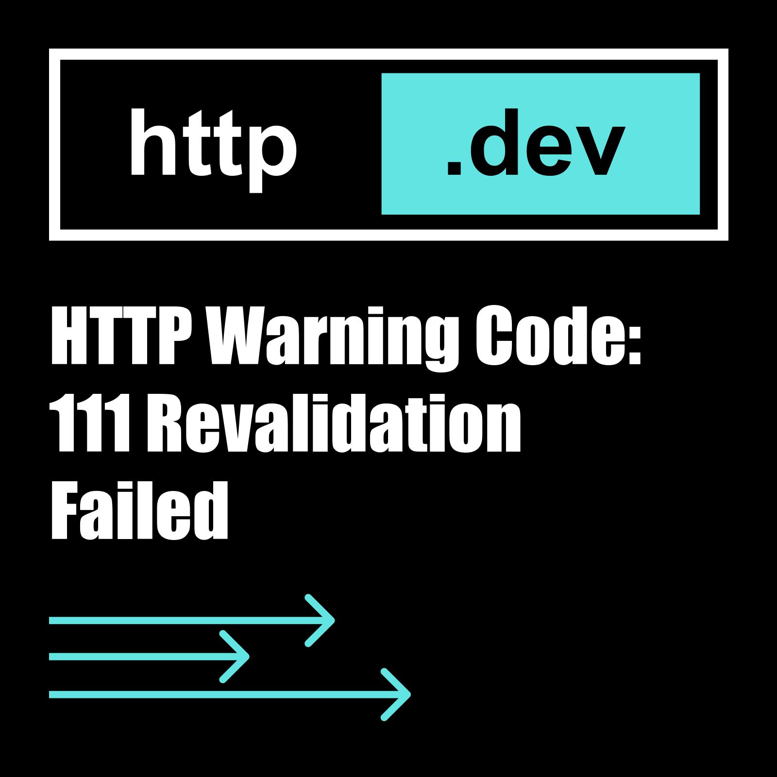 111 Revalidation Failed - HTTP status code explained