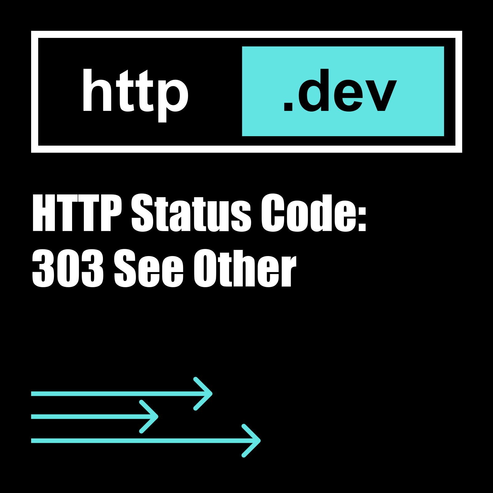 How To Fix the HTTP 303 Status Code (3 Methods) - Kinsta®