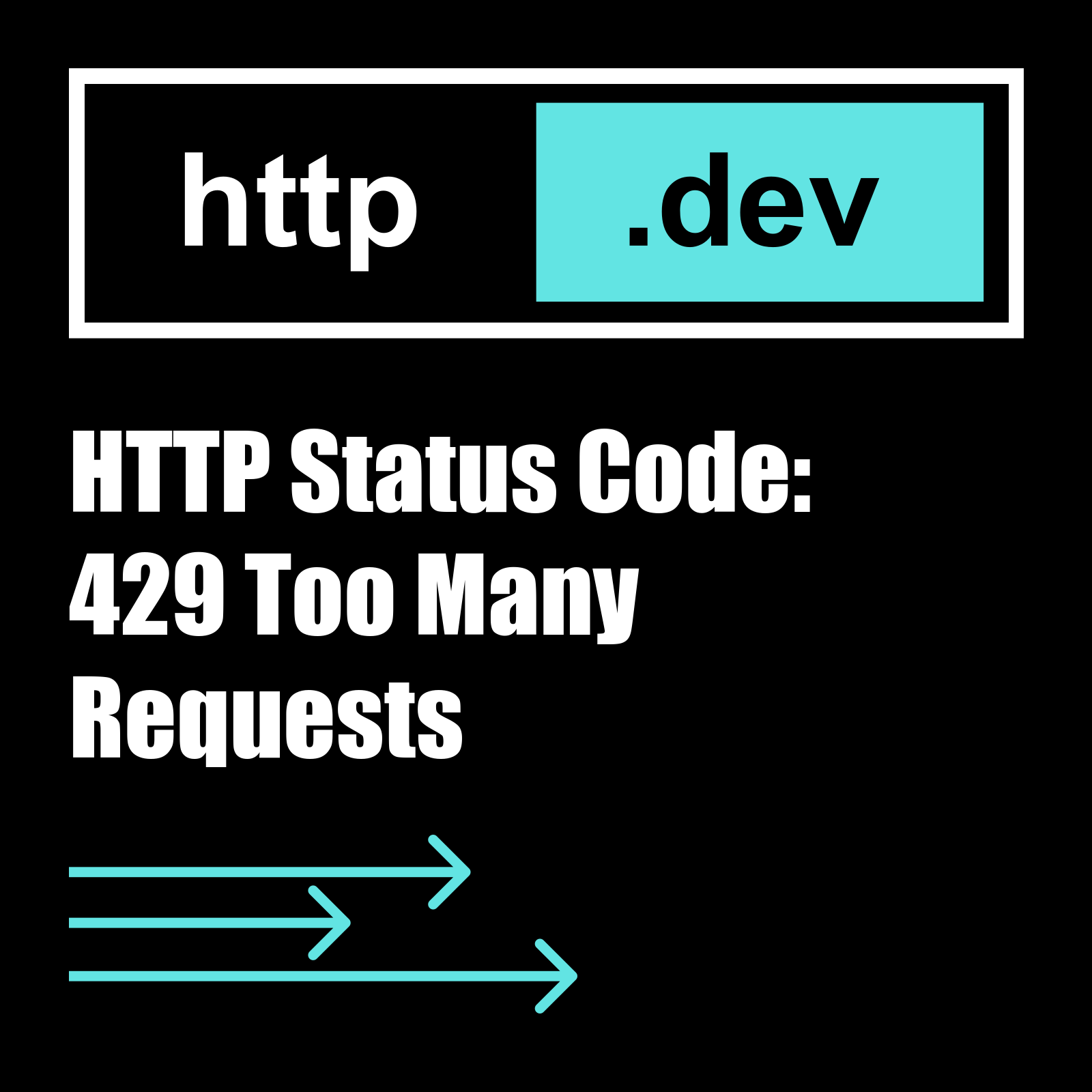 HTTP Status Code 429: What Is a 429 Error Too Many Requests Response  Code? 