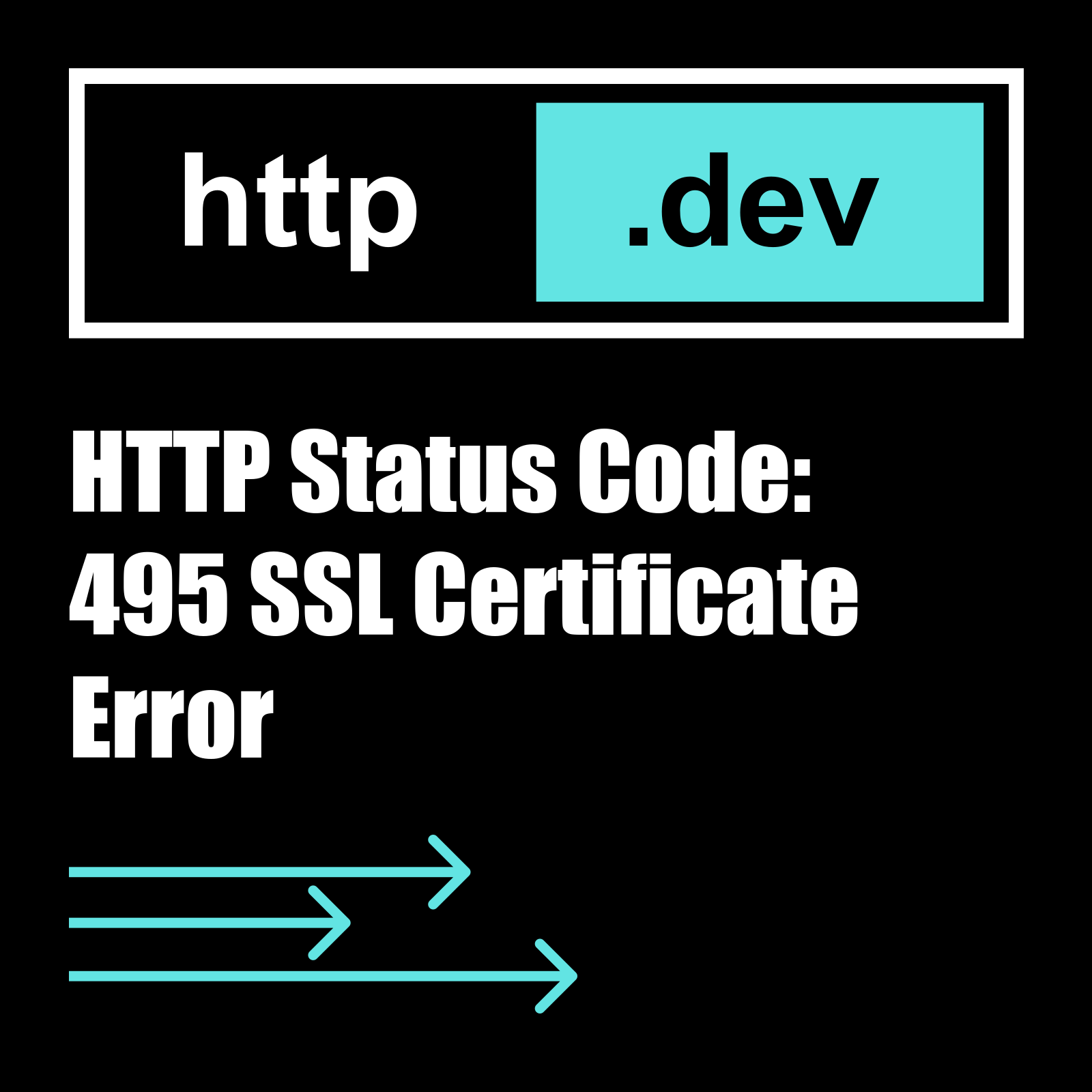 495 SSL Certificate Error HTTP status code explained