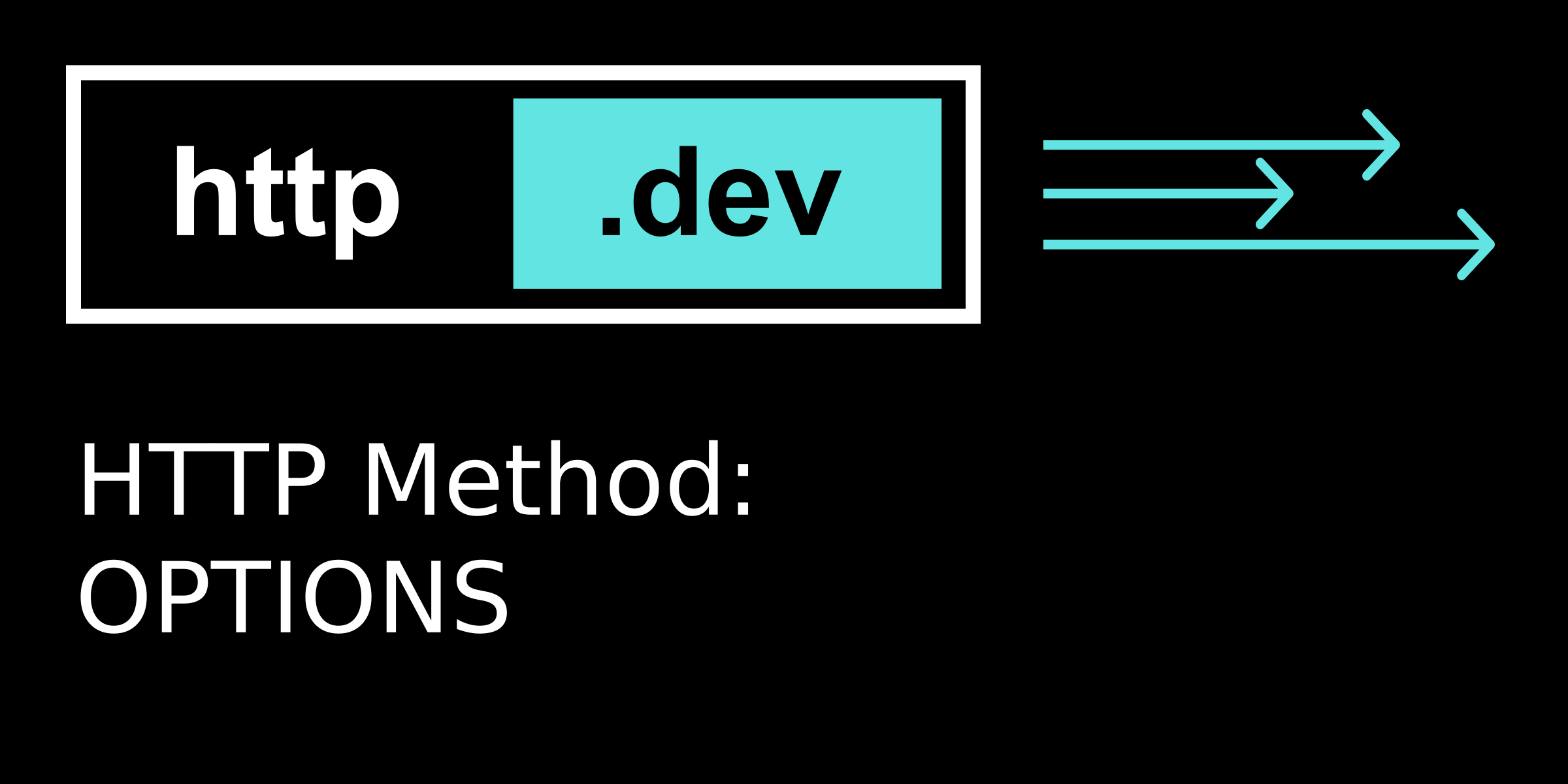OPTIONS - Expert Guide to HTTP methods