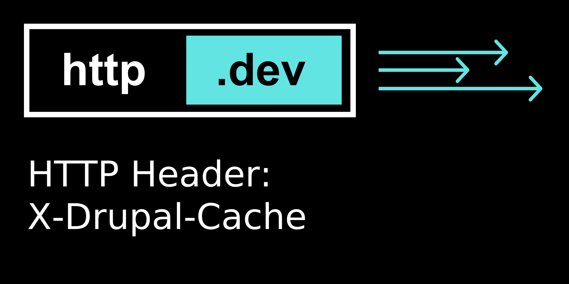 X-Drupal-Cache - Expert Guide to HTTP headers